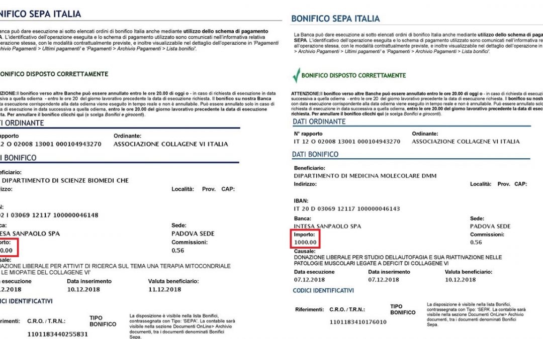 Collagene VI Italia Onlus sostiene attivamente la Ricerca #col6orriso!
